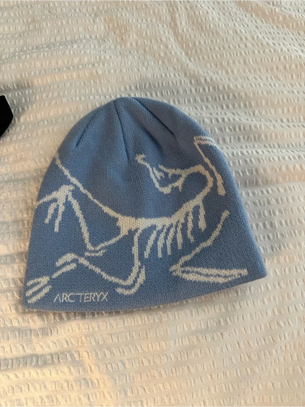 Light Blue Beanie with White Logo Graphic